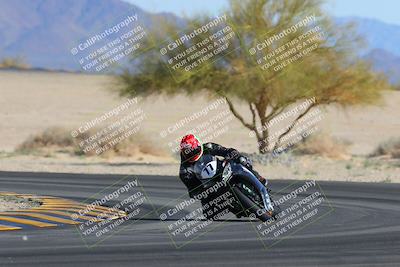 media/Feb-04-2023-SoCal Trackdays (Sat) [[8a776bf2c3]]/Turn 4 (Tree of Life 2pm)/